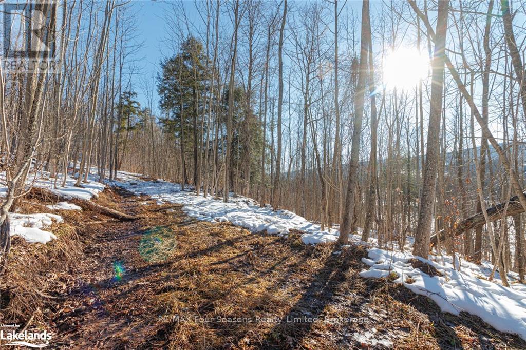 Part Lot 25 Grey Road 30, Grey Highlands, Ontario  N0C 1H0 - Photo 22 - X10439859