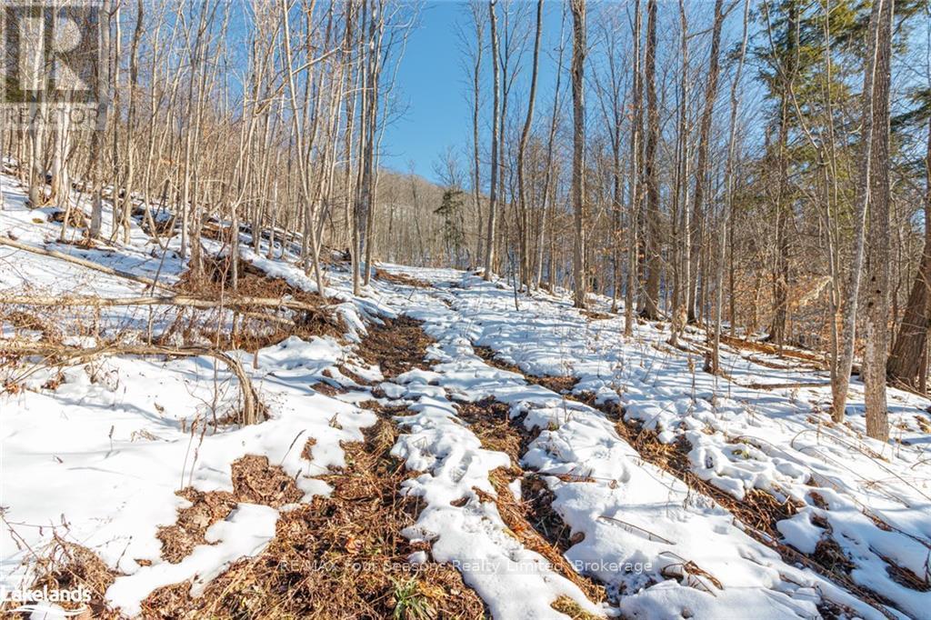 Part Lot 25 Grey Road 30, Grey Highlands, Ontario  N0C 1H0 - Photo 23 - X10439859
