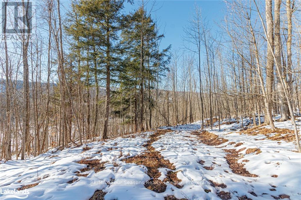 Part Lot 25 Grey Road 30, Grey Highlands, Ontario  N0C 1H0 - Photo 24 - X10439859
