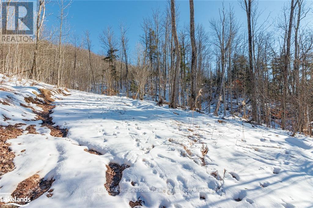 Part Lot 25 Grey Road 30, Grey Highlands, Ontario  N0C 1H0 - Photo 25 - X10439859