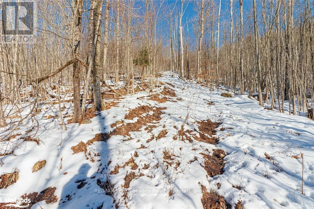 Part Lot 25 Grey Road 30, Grey Highlands, Ontario  N0C 1H0 - Photo 26 - X10439859
