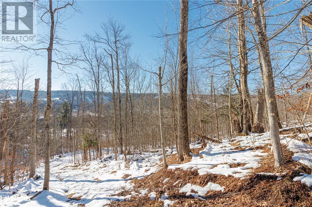 Part Lot 25 Grey Road 30, Grey Highlands, Ontario  N0C 1H0 - Photo 27 - X10439859