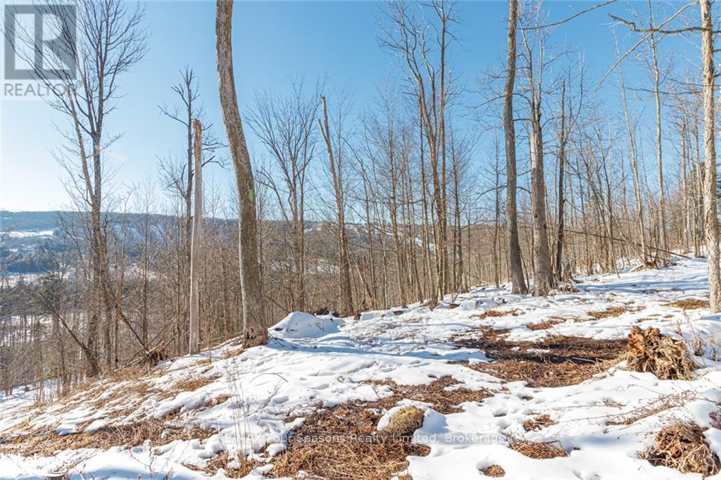 Part Lot 25 Grey Road 30, Grey Highlands, Ontario  N0C 1H0 - Photo 28 - X10439859