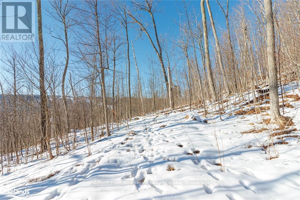 Part Lot 25 Grey Road 30, Grey Highlands, Ontario  N0C 1H0 - Photo 29 - X10439859