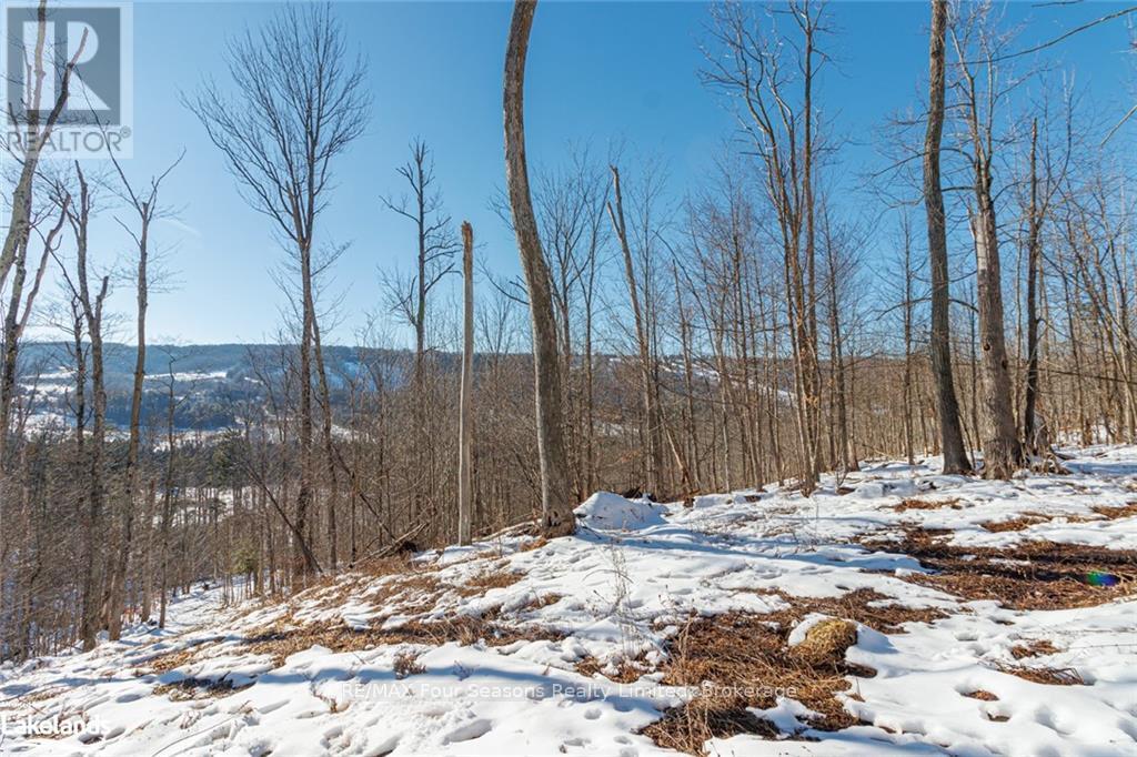 Part Lot 25 Grey Road 30, Grey Highlands, Ontario  N0C 1H0 - Photo 30 - X10439859