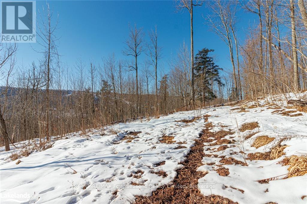 Part Lot 25 Grey Road 30, Grey Highlands, Ontario  N0C 1H0 - Photo 32 - X10439859