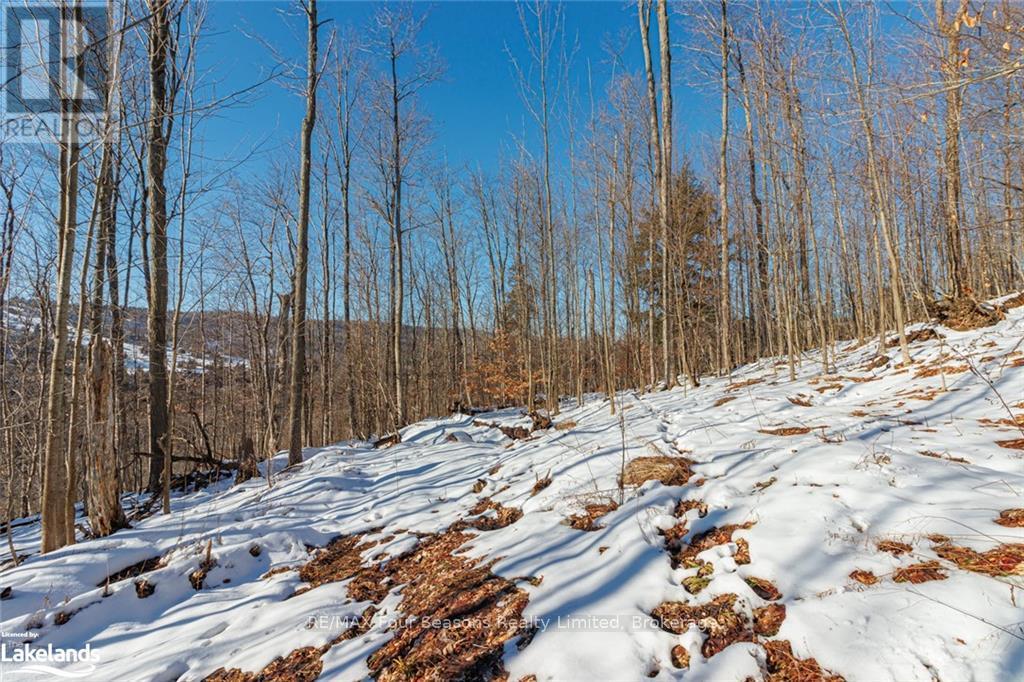 Part Lot 25 Grey Road 30, Grey Highlands, Ontario  N0C 1H0 - Photo 35 - X10439859