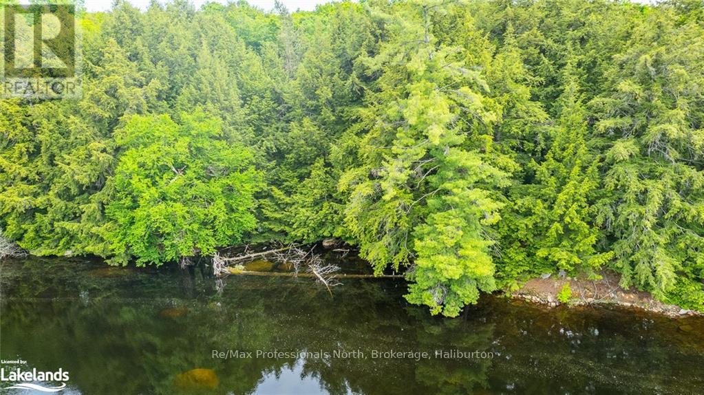 0 Prestige Court, Dysart Et Al, Ontario  K0M 1S0 - Photo 12 - X10439867