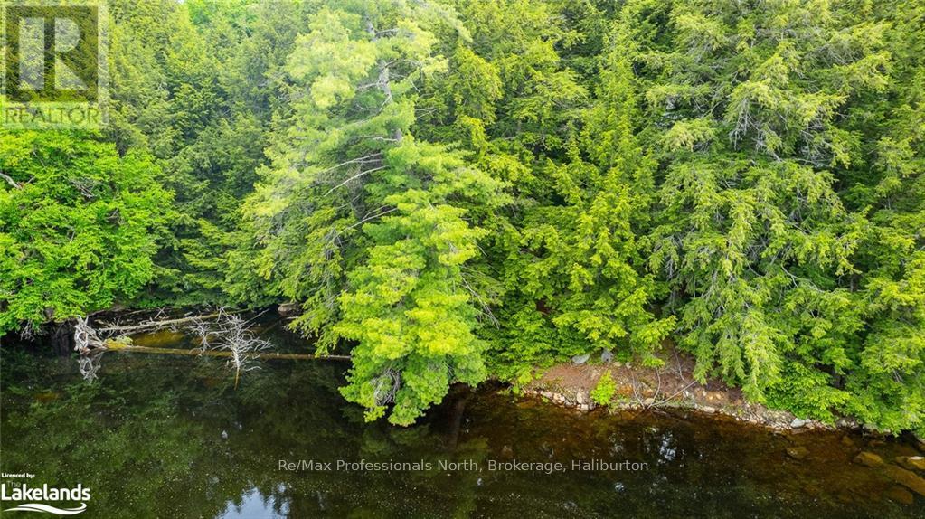 0 Prestige Court, Dysart Et Al, Ontario  K0M 1S0 - Photo 13 - X10439867