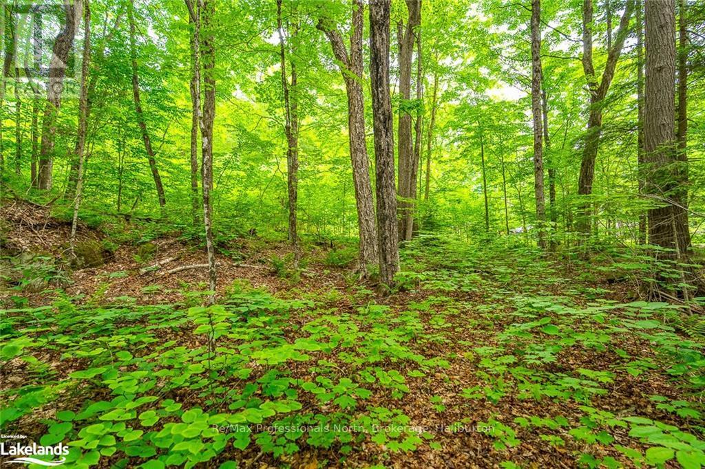 0 Prestige Court, Dysart Et Al, Ontario  K0M 1S0 - Photo 3 - X10439867