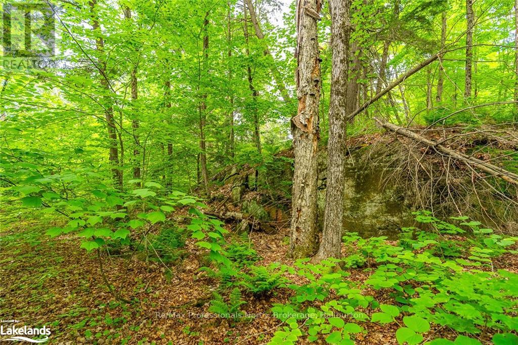 0 Prestige Court, Dysart Et Al, Ontario  K0M 1S0 - Photo 4 - X10439867