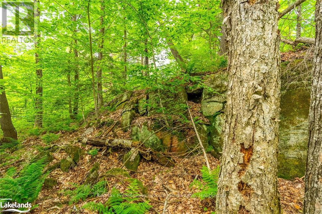 0 Prestige Court, Dysart Et Al, Ontario  K0M 1S0 - Photo 6 - X10439867