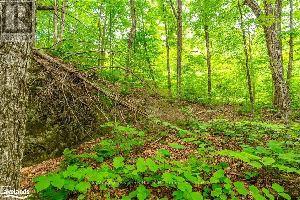 0 Prestige Court, Dysart Et Al, Ontario  K0M 1S0 - Photo 7 - X10439867