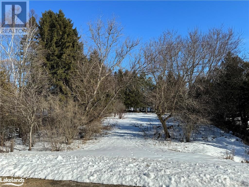 29 GEORGE STREET, Chatsworth, Ontario