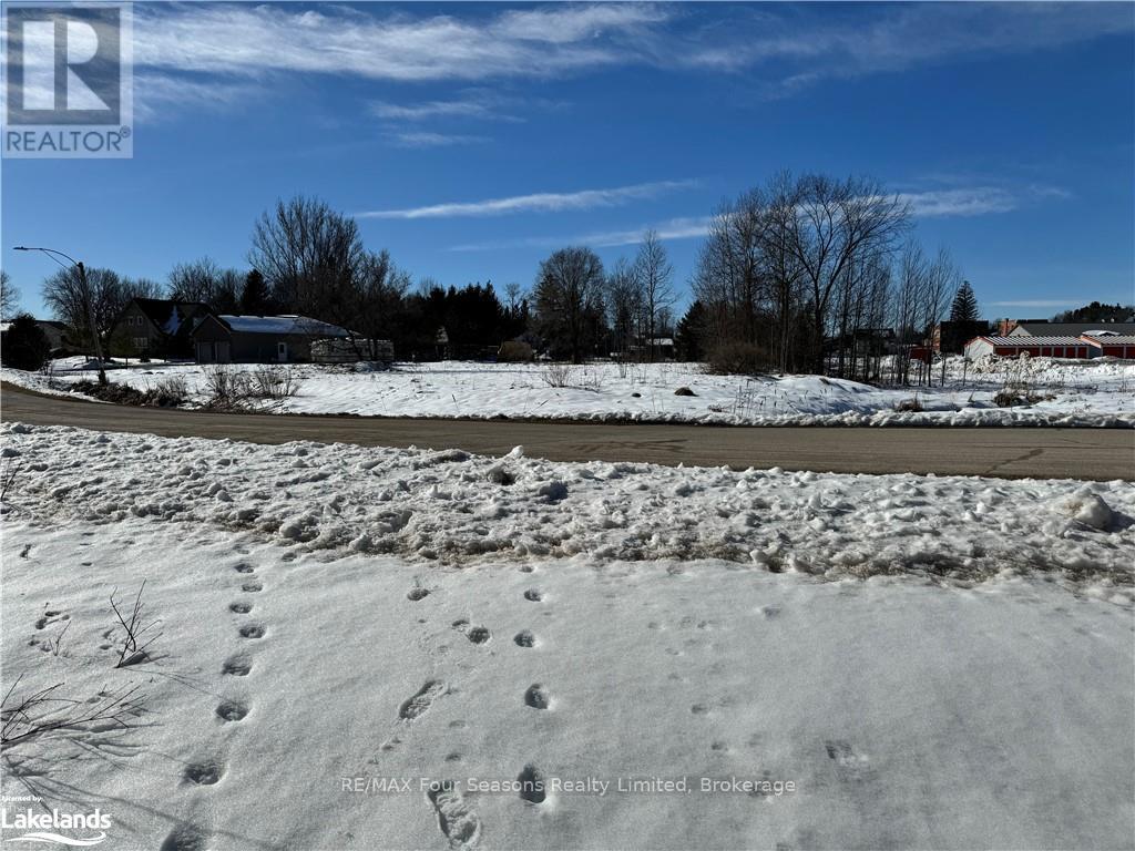 29 George Street, Chatsworth, Ontario  N0H 1G0 - Photo 10 - X10439869