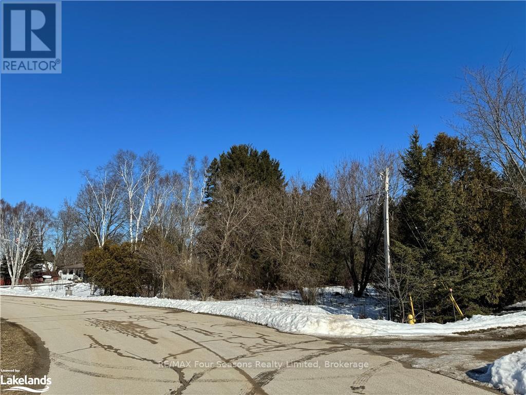 29 George Street, Chatsworth, Ontario  N0H 1G0 - Photo 11 - X10439869