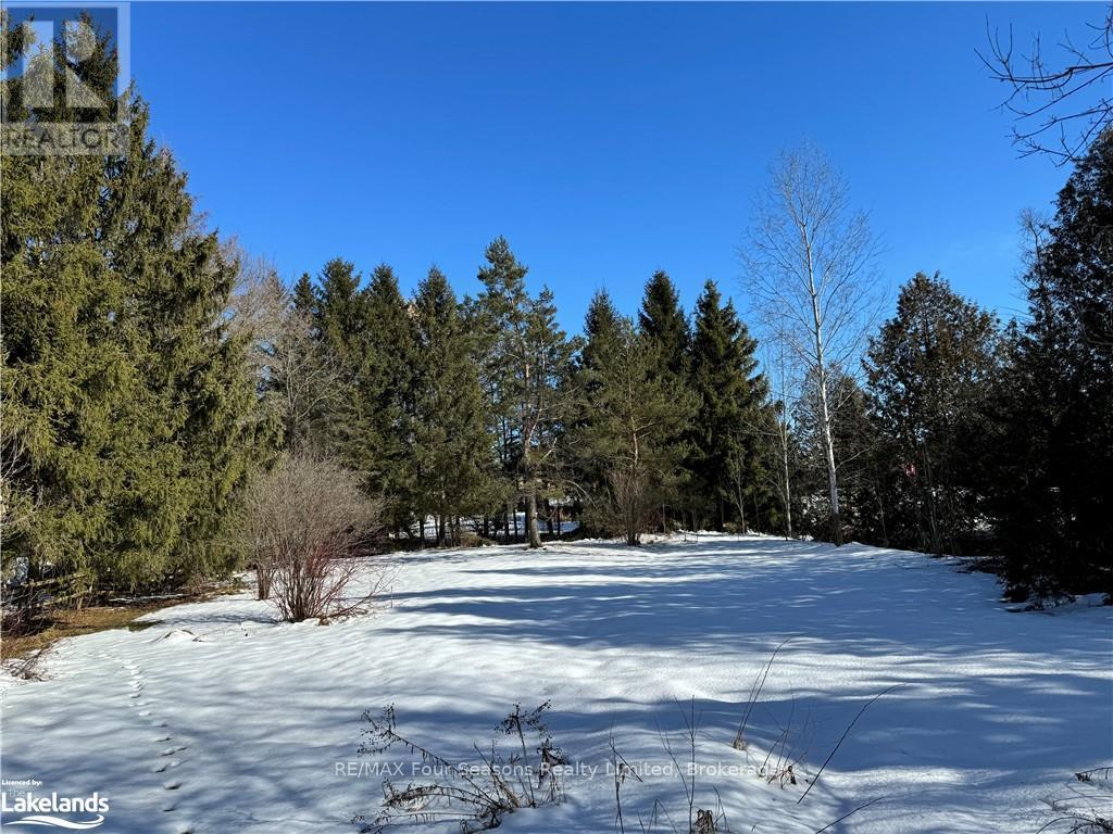 29 George Street, Chatsworth, Ontario  N0H 1G0 - Photo 5 - X10439869