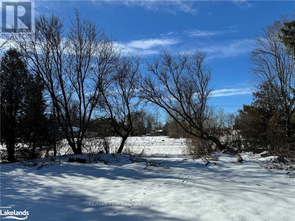 29 George Street, Chatsworth, Ontario  N0H 1G0 - Photo 8 - X10439869