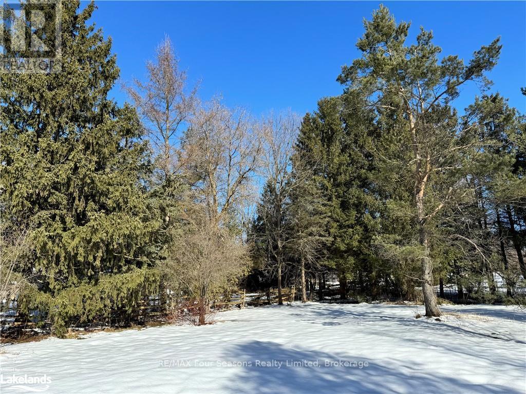29 George Street, Chatsworth, Ontario  N0H 1G0 - Photo 9 - X10439869