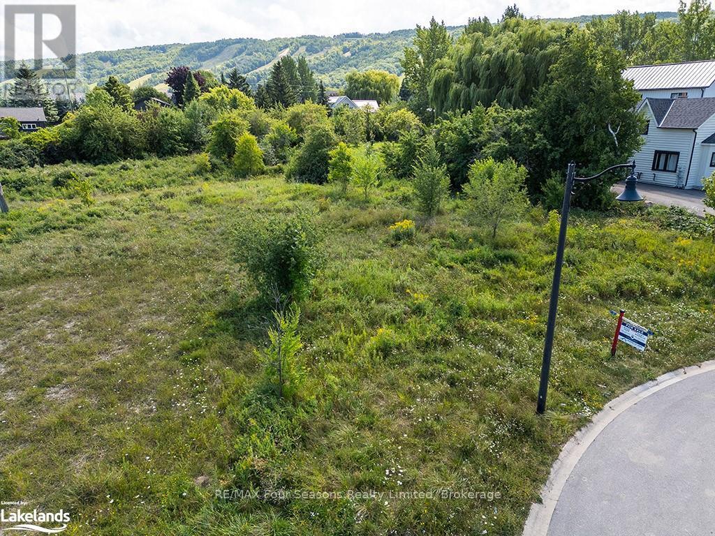 116 Lendvay Alley, Blue Mountains (Blue Mountain Resort Area), Ontario  L9Y 0S3 - Photo 12 - X10439925