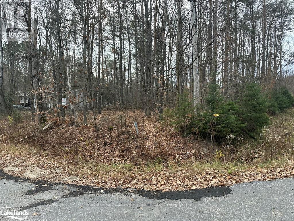 0 Golf Lane, Strong, Ontario  P0A 1Z0 - Photo 2 - X10439828