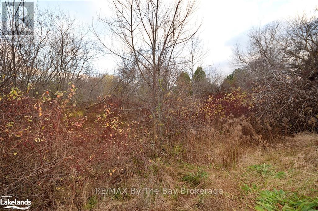 41 Lansdowne Street N, Blue Mountains, Ontario  N0H 2P0 - Photo 14 - X10439842