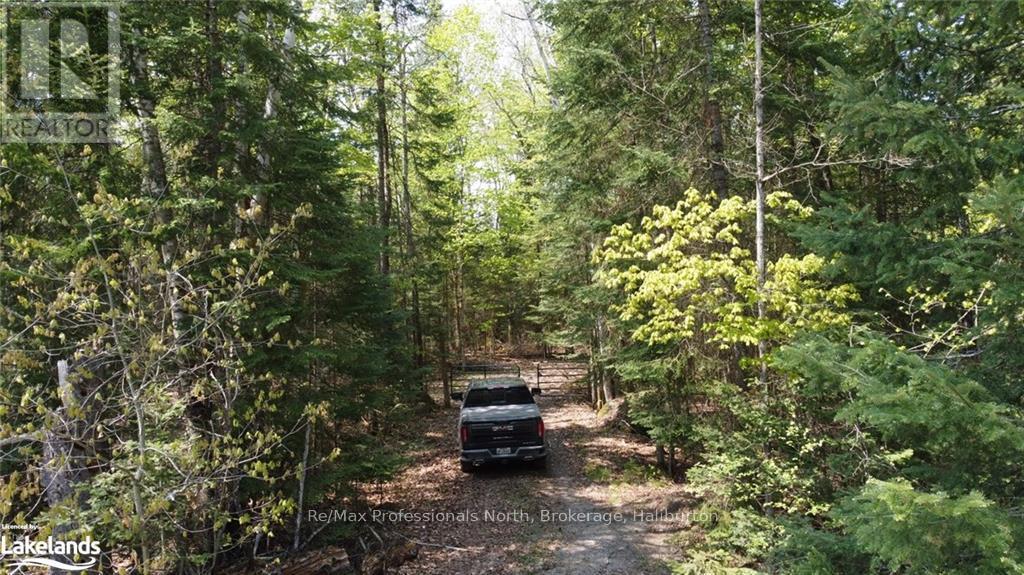 0 Between Lakes Trail, Minden Hills, Ontario  K0M 1S0 - Photo 13 - X10439983