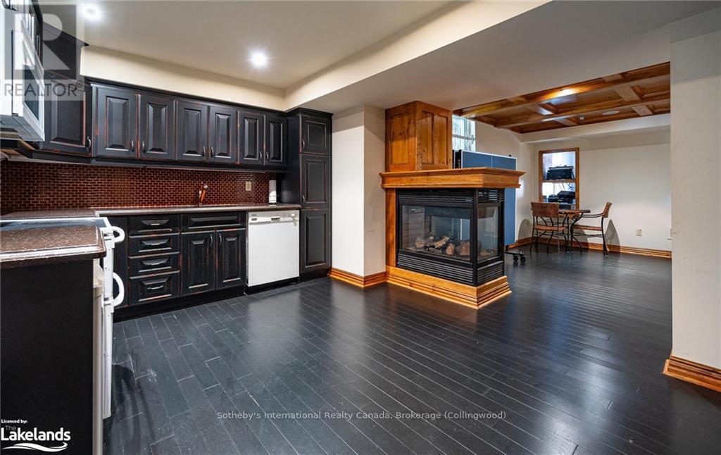 203 Ski Hill Road, Kawartha Lakes, Ontario  L0A 1A0 - Photo 29 - X10439992