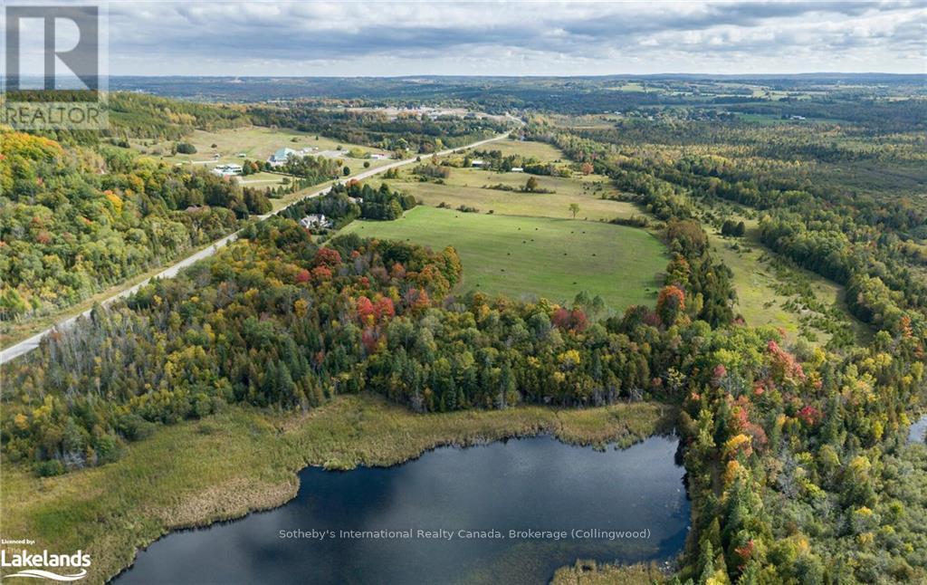 203 Ski Hill Road, Kawartha Lakes, Ontario  L0A 1A0 - Photo 38 - X10439992