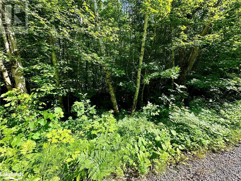 0 Frontenac Drive, Mckellar, Ontario  P0G 1C0 - Photo 6 - X10439176