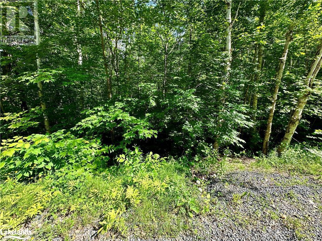 0 Frontenac Drive, Mckellar, Ontario  P0G 1C0 - Photo 7 - X10439176