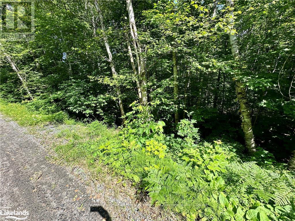 0 Frontenac Drive, Mckellar, Ontario  P0G 1C0 - Photo 8 - X10439176