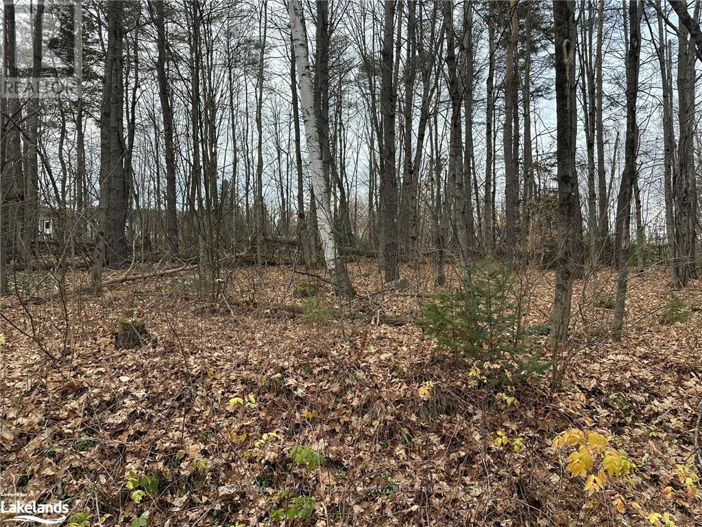 0 Golf Lane, Strong, Ontario  P0A 1Z0 - Photo 13 - X10439828
