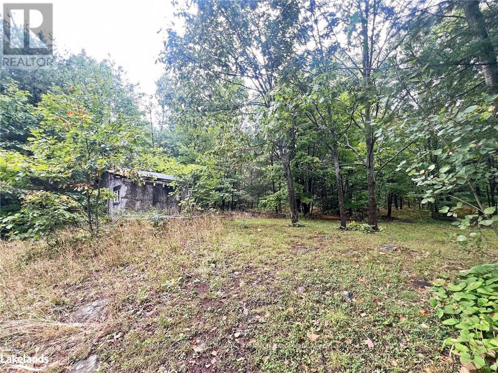 278 124 Highway, Mcdougall, Ontario  P2A 2W7 - Photo 5 - X10440073