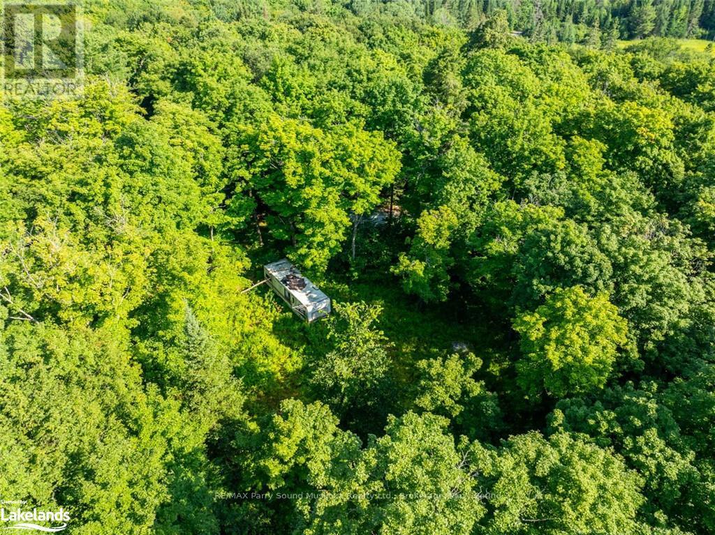1650 Hekkla Road, Muskoka Lakes, Ontario  P0C 1J0 - Photo 6 - X10440102