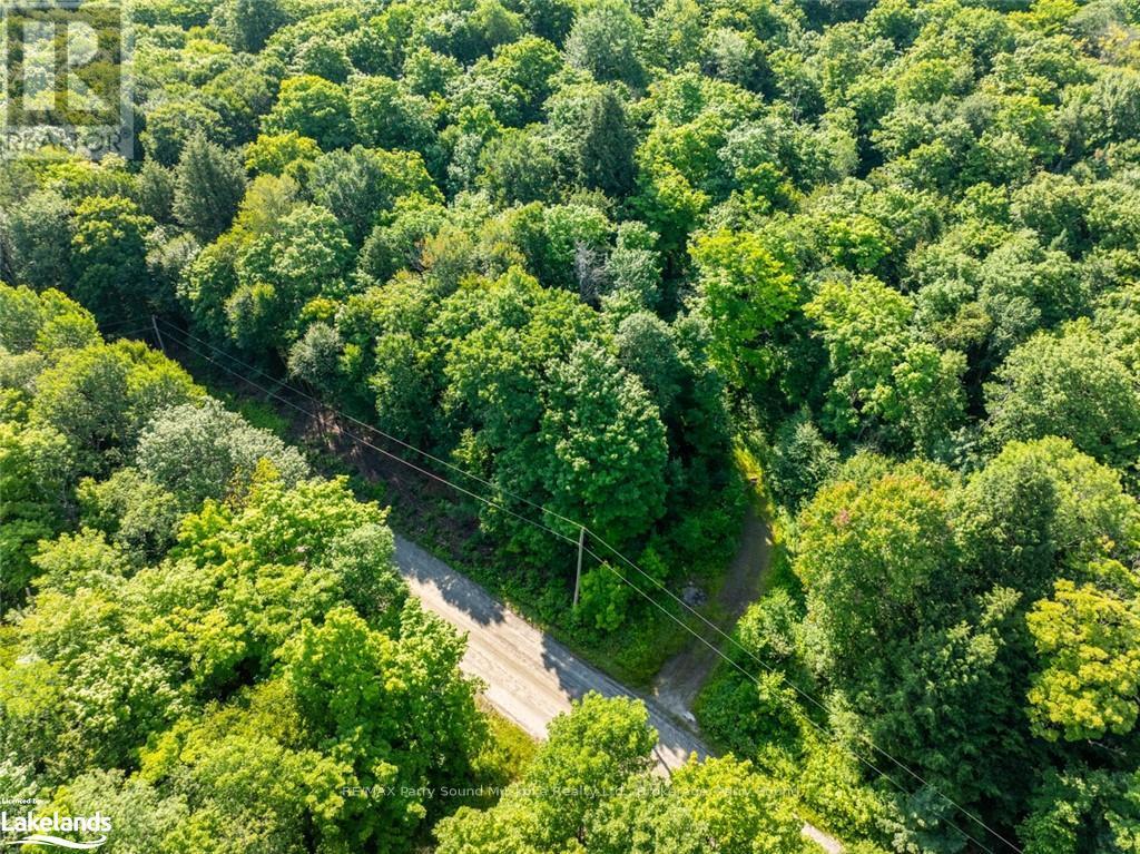 1650 Hekkla Road, Muskoka Lakes, Ontario  P0C 1J0 - Photo 7 - X10440102