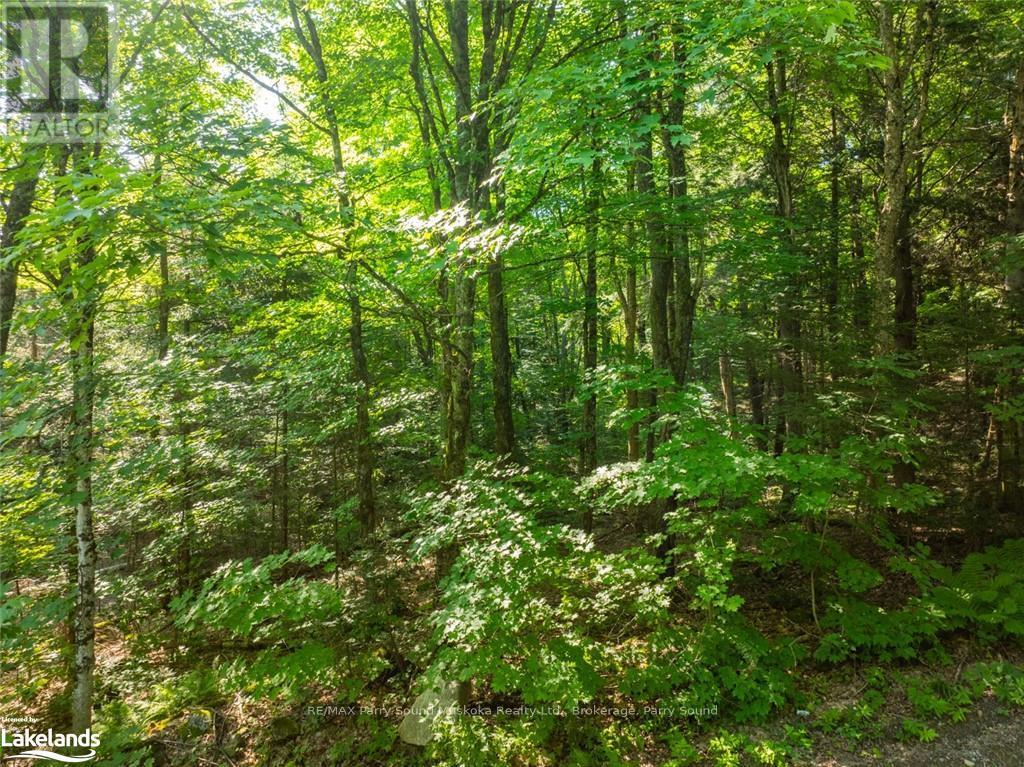 1650 Hekkla Road, Muskoka Lakes, Ontario  P0C 1J0 - Photo 24 - X10440102