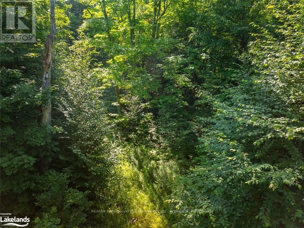 1650 Hekkla Road, Muskoka Lakes, Ontario  P0C 1J0 - Photo 28 - X10440102