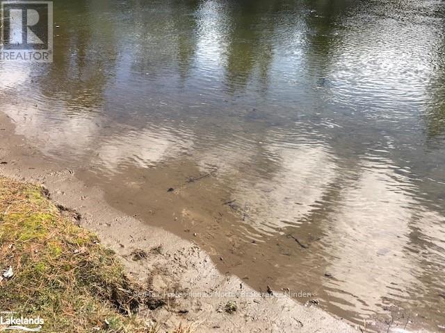 80 Invergordon Avenue, Minden Hills, Ontario  K0M 2K0 - Photo 19 - X10438480