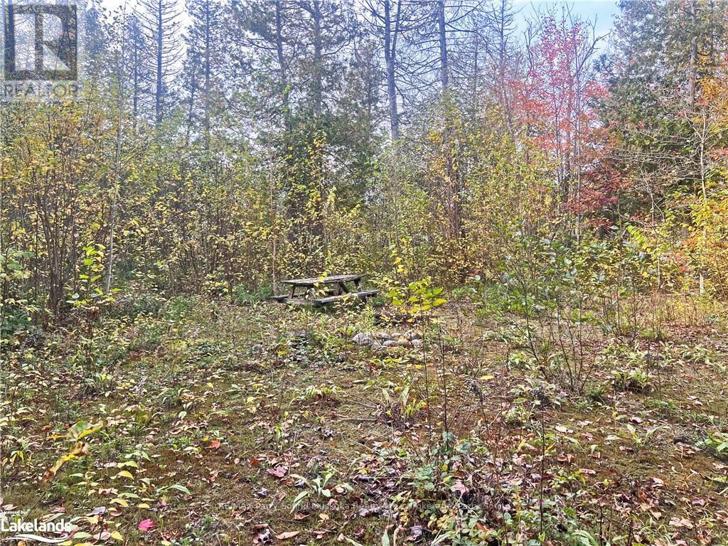 0 Chikopi Road, Magnetawan, Ontario  P0A 1P0 - Photo 10 - X10440239