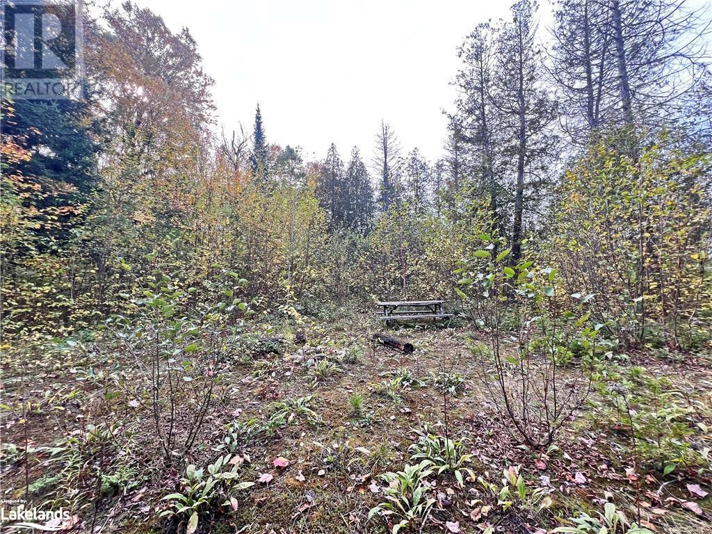 0 Chikopi Road, Magnetawan, Ontario  P0A 1P0 - Photo 11 - X10440239