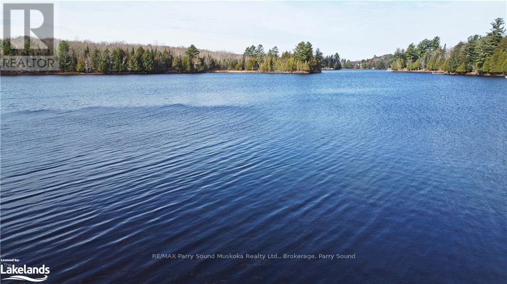 0 Chikopi Road, Magnetawan, Ontario  P0A 1P0 - Photo 15 - X10440239