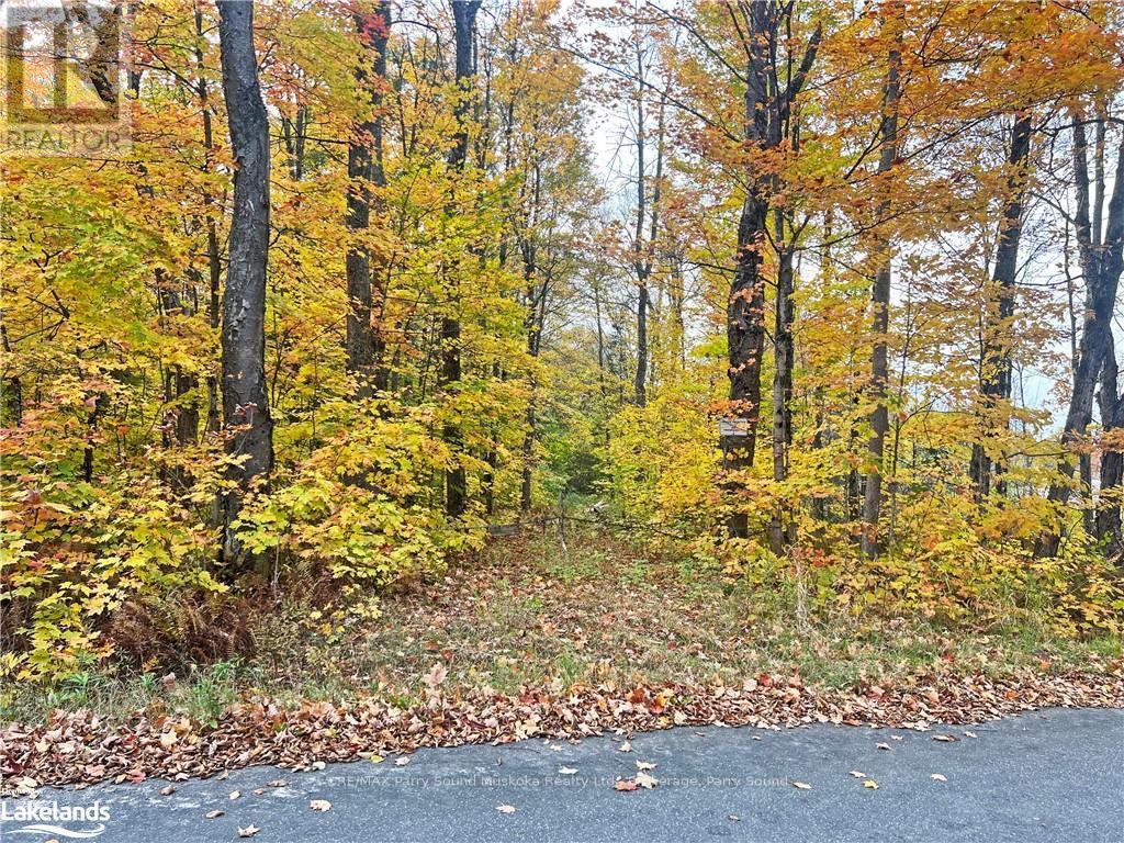 0 Chikopi Road, Magnetawan, Ontario  P0A 1P0 - Photo 5 - X10440239