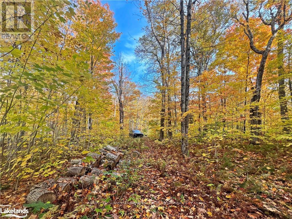 0 Chikopi Road, Magnetawan, Ontario  P0A 1P0 - Photo 6 - X10440239