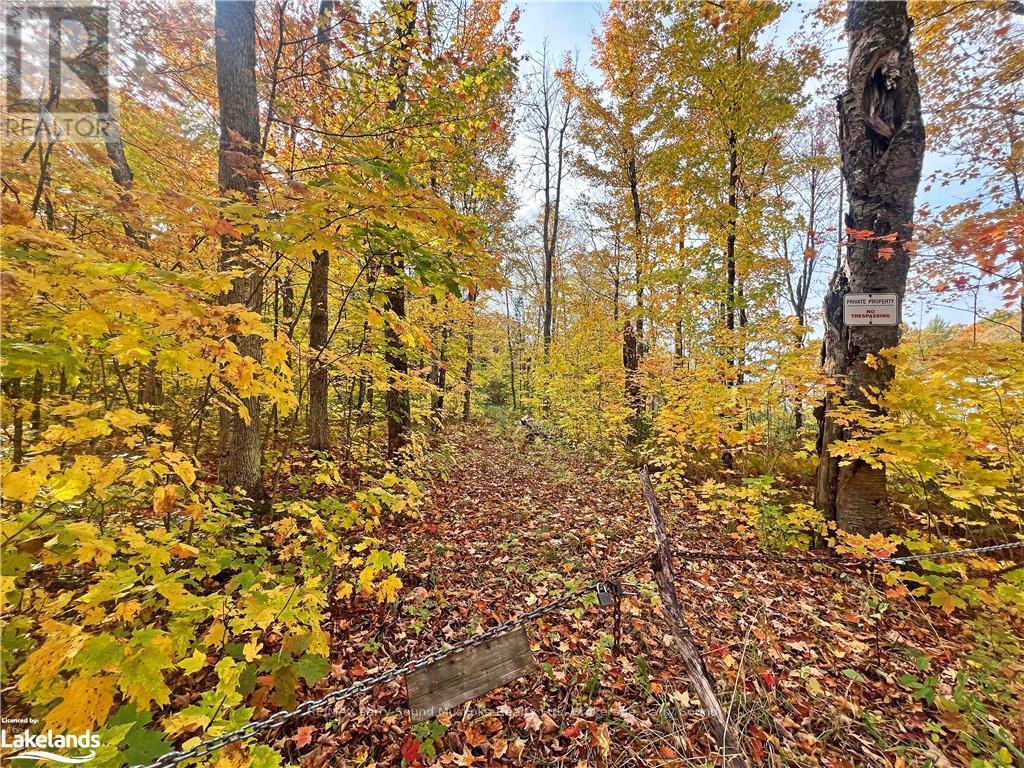 0 Chikopi Road, Magnetawan, Ontario  P0A 1P0 - Photo 7 - X10440239