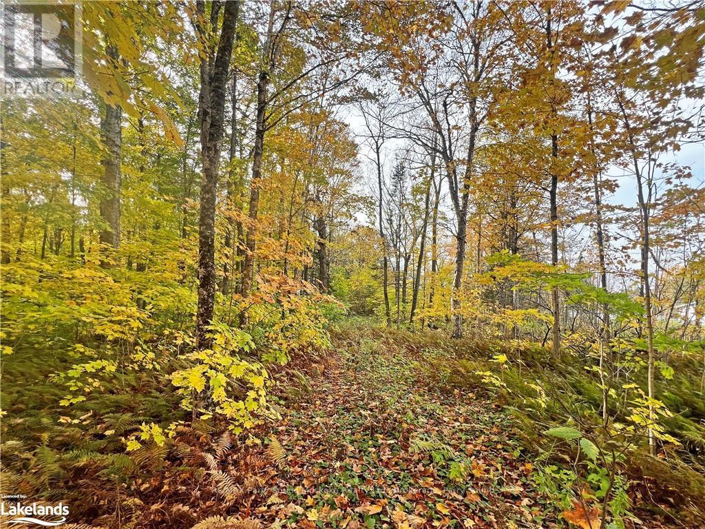 0 Chikopi Road, Magnetawan, Ontario  P0A 1P0 - Photo 8 - X10440239