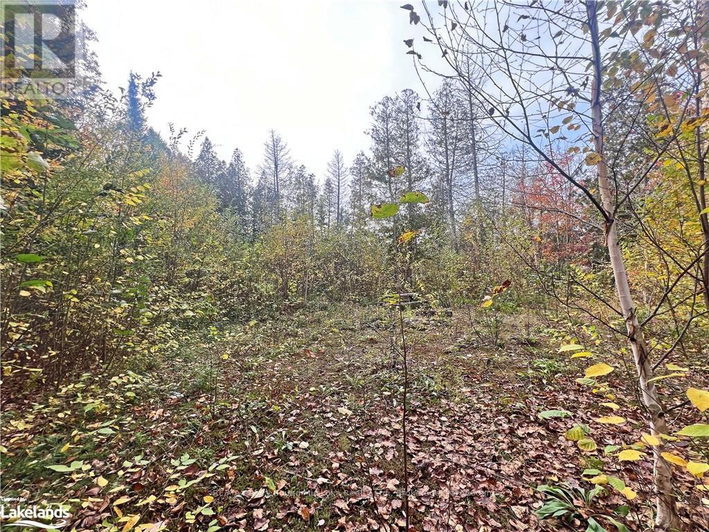 0 Chikopi Road, Magnetawan, Ontario  P0A 1P0 - Photo 9 - X10440239