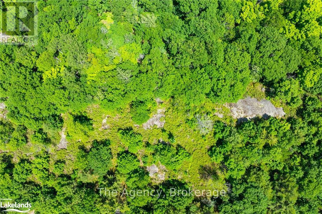 1766 Muskoka Road 169, Gravenhurst, Ontario  P1P 1R2 - Photo 12 - X10440246