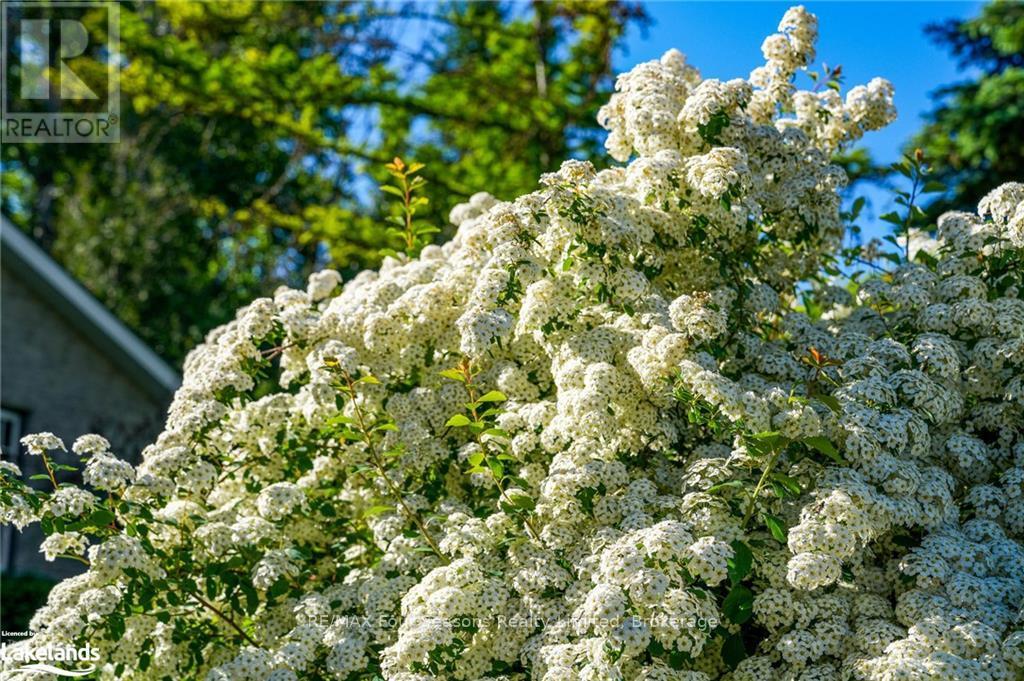 110 Scotts Court, Blue Mountains (Blue Mountain Resort Area), Ontario  N0H 1J0 - Photo 37 - X10440252