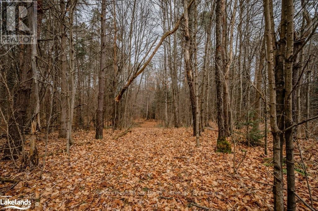 2180-2186 Highway 141, Muskoka Lakes (Watt), Ontario  P0B 1M0 - Photo 10 - X10440262